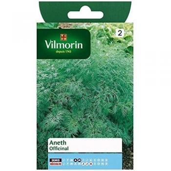 Vilmorin - Aneth Officinal