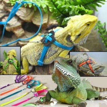 Harnais et Laisse Réglables Multicolores pour Lézard en Polyester - Collier Durable pour Petit Animal de Compagnie