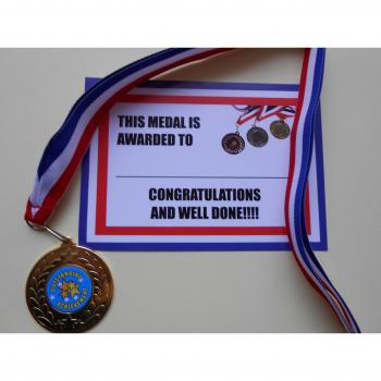 OUTSTANDING ACHIEVEMENT MEDALS WITH RIBBON AND CENTRE = GREAT QUALITY