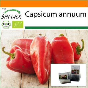 Organic Garden in a Bag - Sweet Pepper Long Red Marconi - 20 Seeds with Substrate