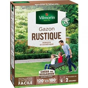 Vilmorin 4460415 Gazon Rustique, Vert, 3 kg