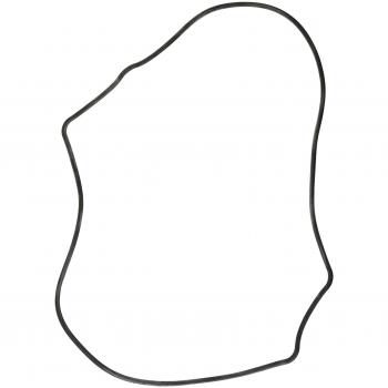 PAYEN AE ITALIA GP351.939 Elring