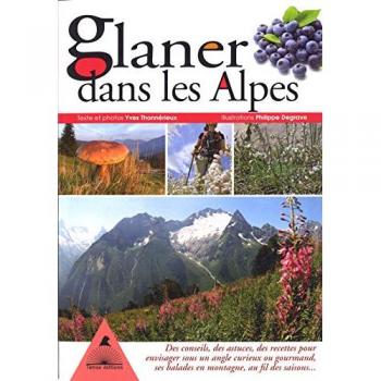 Guide gourmand des balades alpines : conseils, astuces et recettes pour explorer les Alpes au fil des saisons