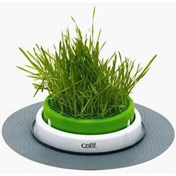 Catit Jardin d'Herbe pour chat, Senses
