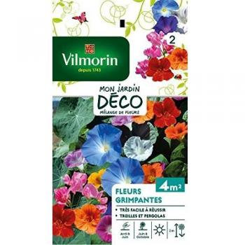 Vilmorin 5860642 Pack de Graines Fleur Grimpante