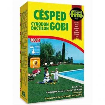 Semences de Gazon Fines Ultra Résistantes 5 Kg - Césped Suave et Esthétique pour Jardins