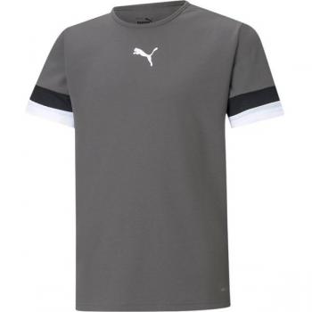 Puma TeamRISE Kindertrikot Grau Unisex 176