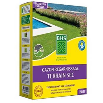 Gazon Regarnissage Terrain Sec Résistant 3Kg - 150 m²
