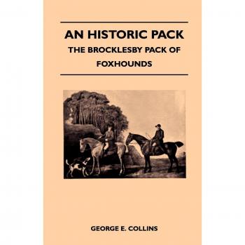 An Historic Pack - The Brocklesby Pack Of Foxhounds