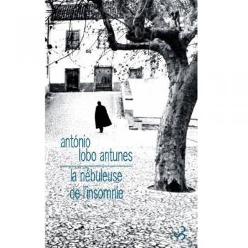 Die Nebel der Schlaflosigkeit - Antonio Lobo Antunes