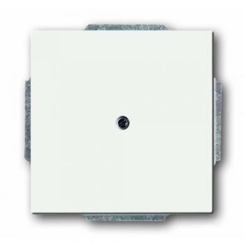 Busch-Jaeger 1742-884 Blind Cover Plate with Support Ring