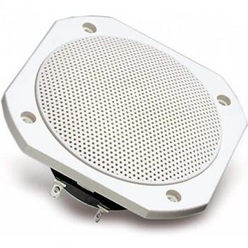Visaton FRS 10 WP - 4 Ohm Waterproof Wideband Speaker, 25W, White, Saltwater-Resistant