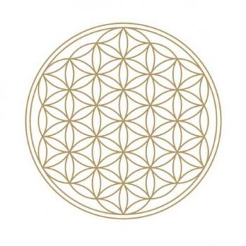 Personalized Stainless Steel Double Pendant Bone Chain Necklace for Men and Women