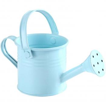 Bouilloire de jardin pour enfants en métal avec pulvérisation d'eau