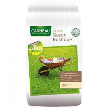 Gazon rustique à implantation rapide tous terrains 160 m²