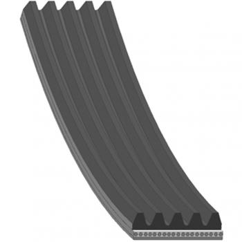 Blue Print AD05R1682 Auxiliary Belt, pack of one